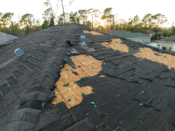 Best Roof Maintenance and Cleaning  in Westminster, SC